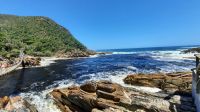Südafrika - Tsitsikamma Nationalpark