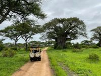 Safai im Tarangire Nationalpark