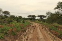 Safai im Tarangire Nationalpark