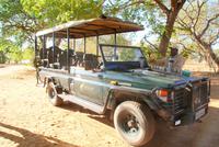 Safari Kaffeepause
