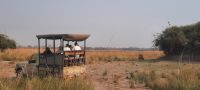 Safari im Buffalo Park