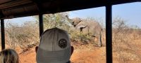 Safari im Chobe Nationalpark