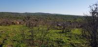 Safari im Hluhluwe Nationalpark