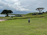 Safari im Ngorogoro Krater