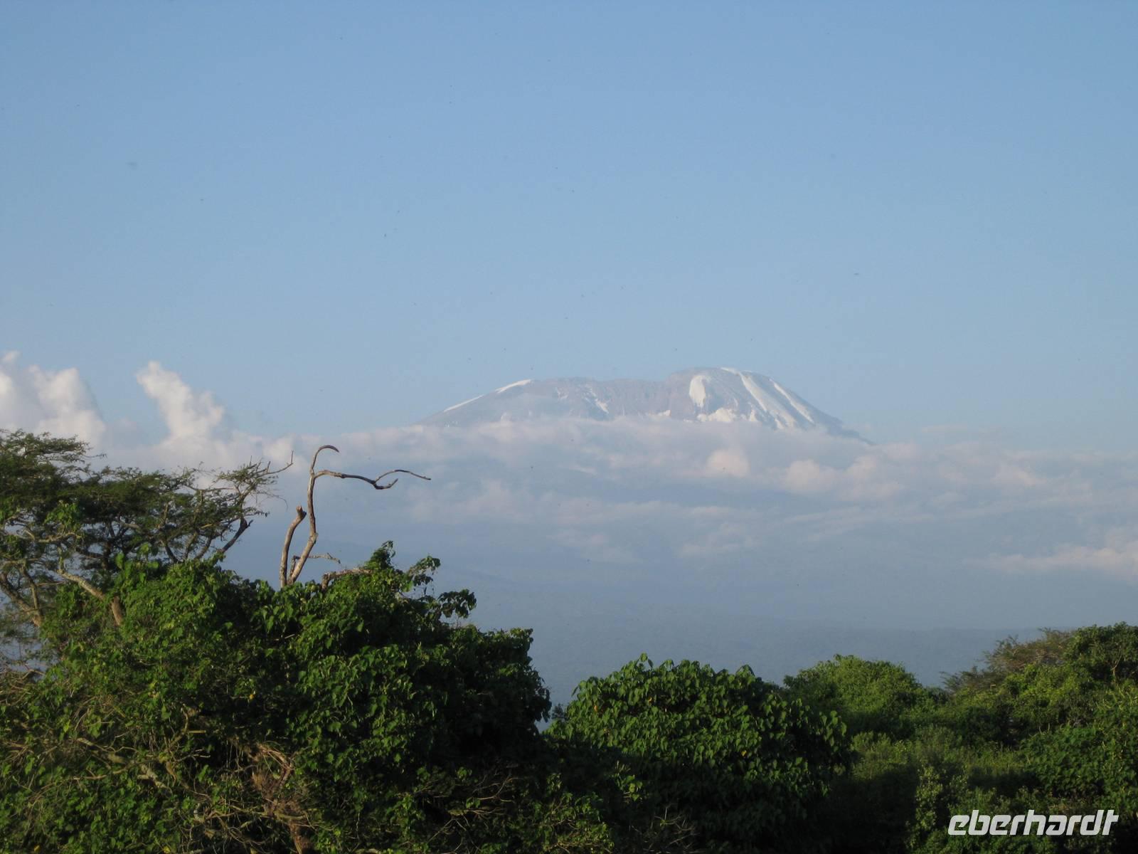 Schnee in Afrika: Auf dem Kilimanjaro