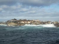 Seal Island