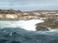 Seal Island