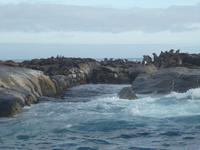 Seal Island