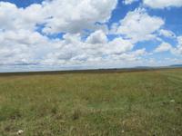 Serengeti