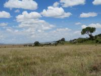 Serengeti