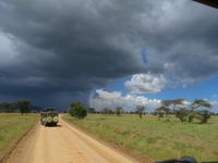 Serengeti