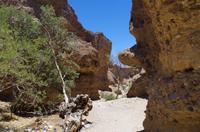 Sesriem Canyon