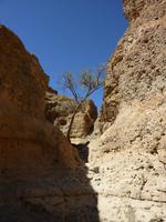 Sesriem Canyon
