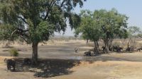 Simbabwe - unterwegs nach Victoria Falls