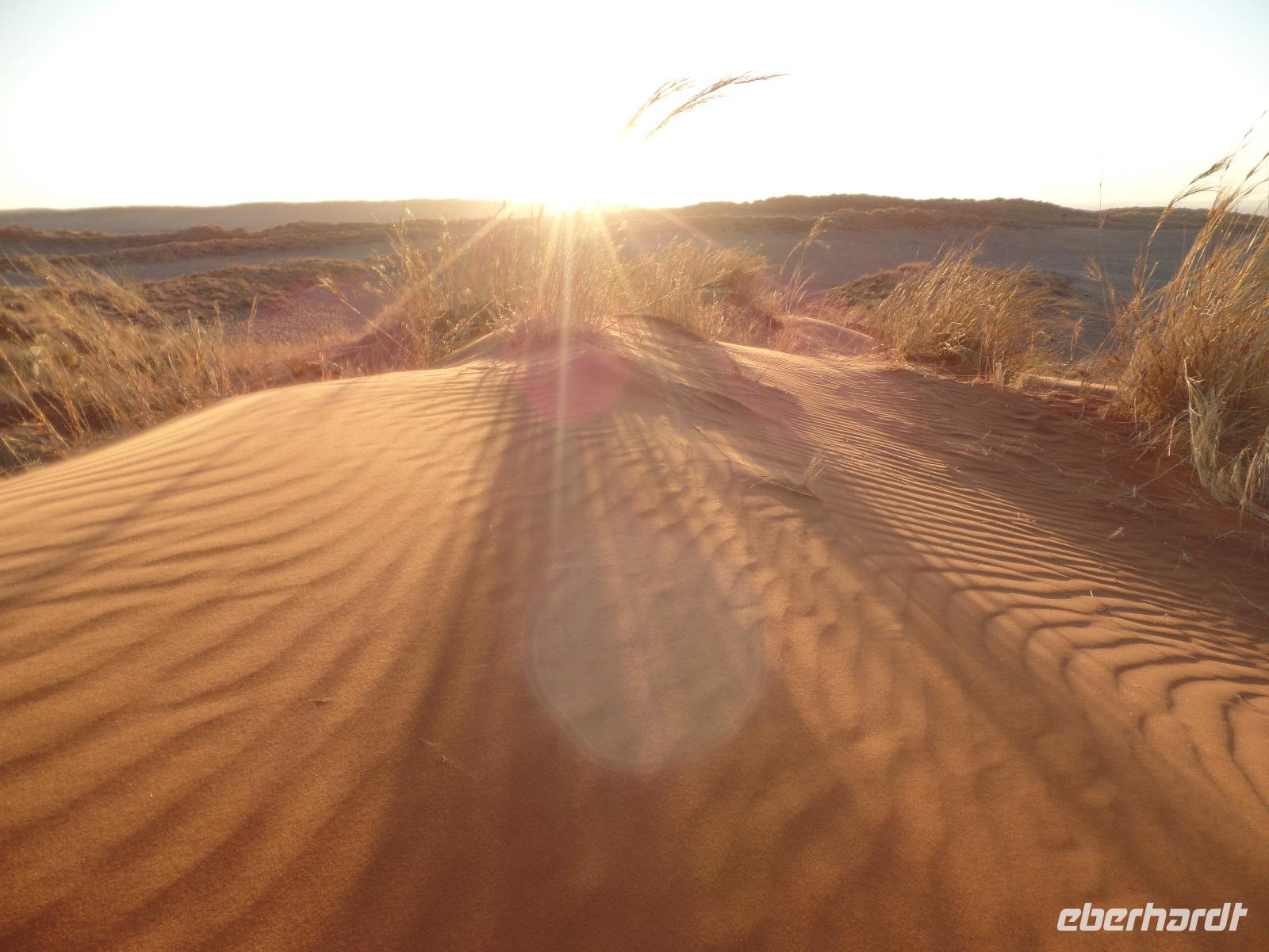 Singlereise Namibia – Sundowner in der Namib