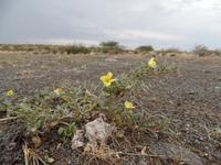 Singlereise Namibia 