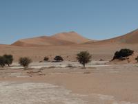 Singlereise Namibia 