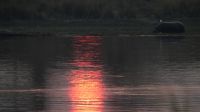 Sonnenaufgang am Okavango