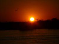 Sonnenuntergang am Chobe