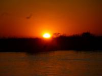 Sonnenuntergang am Chobe