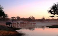 Sonnenuntergang am Khwai Fluss