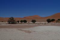 Sossusvlei -  Lehmsenke