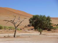 Sossusvlei 