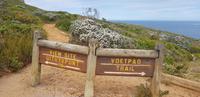 Spaziergang zum Cape of Good Hope