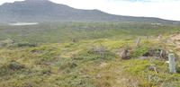 Spaziergang zum Cape of Good Hope