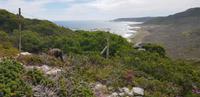Spaziergang zum Cape of Good Hope