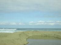 Strand Wilderness