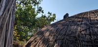 Swaziland - Mantenga Village