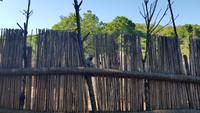 Swaziland - Mantenga Village