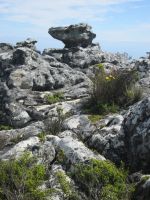 Tafelberg