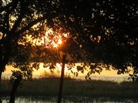 Thamalakane River Lodge - Sonnenuntergang über dem Fluss