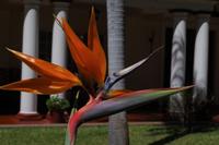 The Vic Falls Hotel