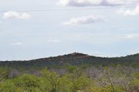 Tiere im Etosha Nationalpark (130)