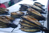 Trockenfisch