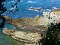 Tsitsikamma NP