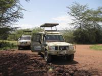 Unsere Jeeps im MNP