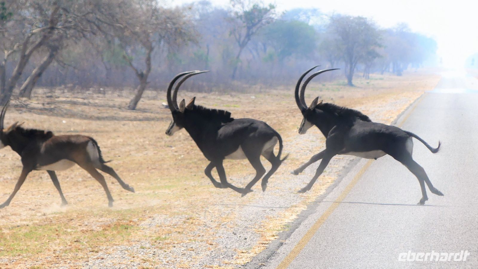 Unterwegs in Namibia
