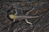 Unterwegs in Namibia