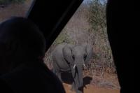 Unterwegs nach Simbabwe