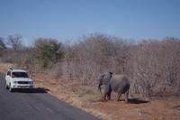 Unterwegs nach Simbabwe