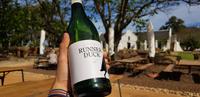 Vergenoegd Löw Wine Estate 