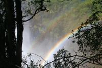 Vic Falls