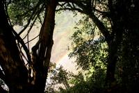 Victoria Falls (2)