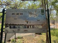 Victoria Falls NP