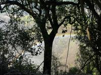 Victoria Falls