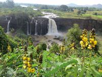 Wasserfall des Blauen Nil